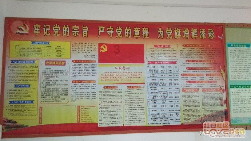 扬科维奇:调整首发是出于体能考虑,下半场让体能充足球员上场